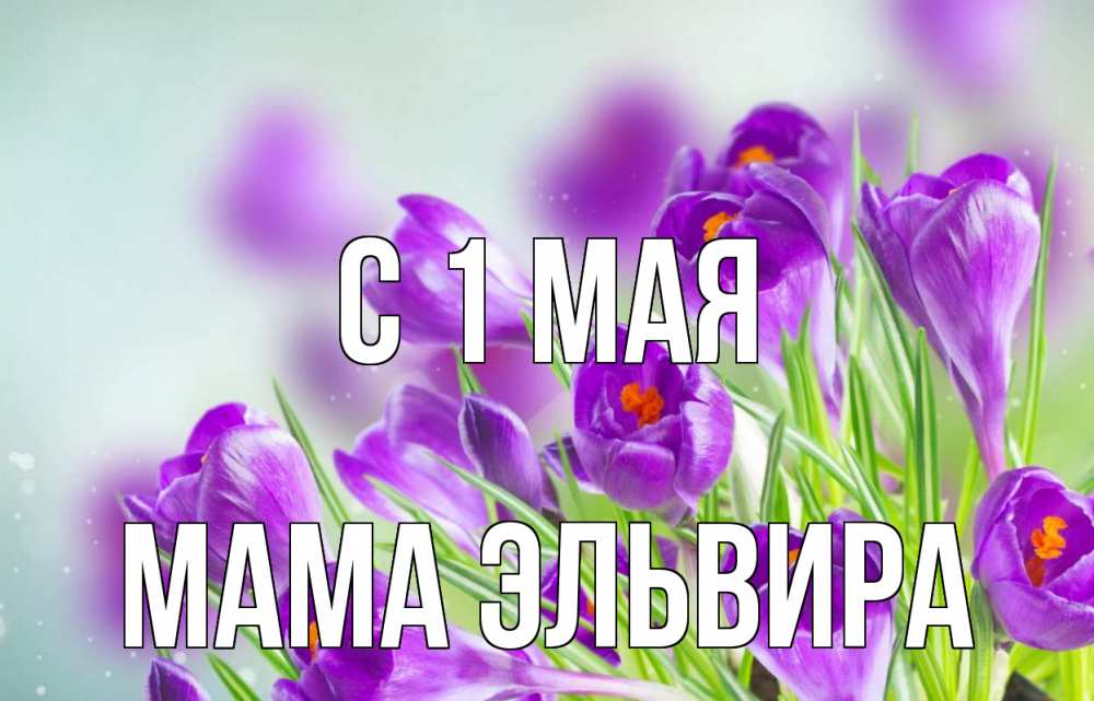 Открытка на каждый день с именем, Мама-Эльвира С 1 мая 1 мая Прикольная открытка с пожеланием онлайн скачать бесплатно 