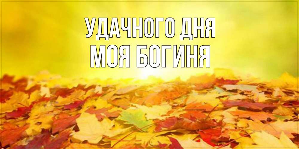 Открытка на каждый день с именем, Моя-богиня Удачного дня пожелания удачного дня Прикольная открытка с пожеланием онлайн скачать бесплатно 
