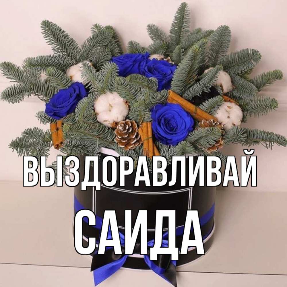 Открытка на каждый день с именем, Саида Выздоравливай короче кто то загрузил эти шишки Прикольная открытка с пожеланием онлайн скачать бесплатно 