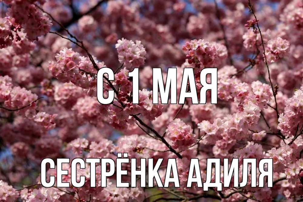 Открытка на каждый день с именем, Сестрёнка-Адиля С 1 мая С 1 мая Прикольная открытка с пожеланием онлайн скачать бесплатно 