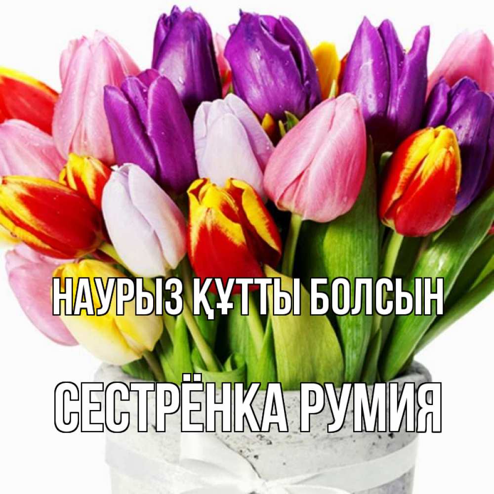 Открытка на каждый день с именем, Сестрёнка-Румия Наурыз құтты болсын букет Прикольная открытка с пожеланием онлайн скачать бесплатно 
