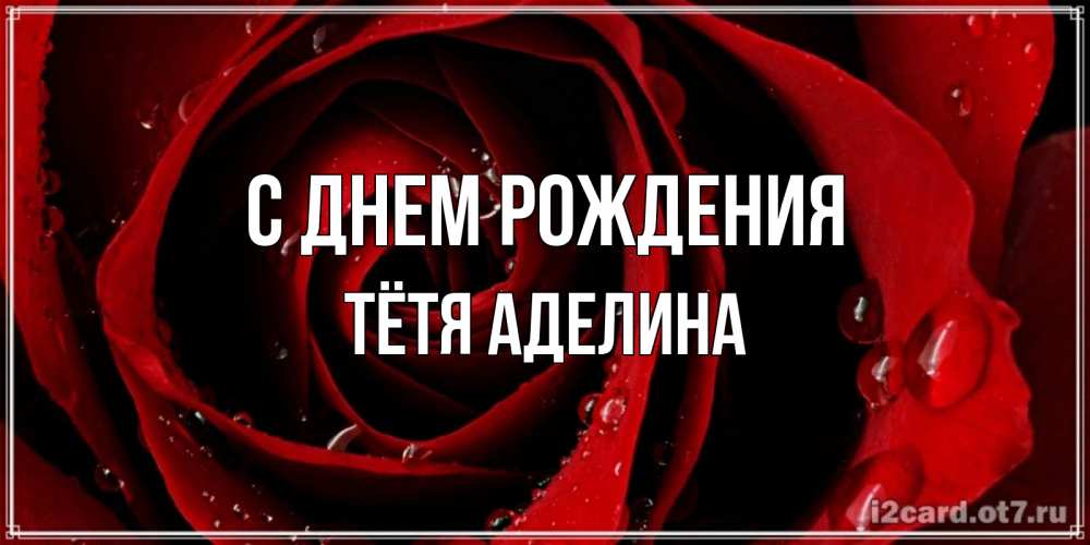Открытка на каждый день с именем, Тётя-Аделина С днем рождения крупная бордовая роза Прикольная открытка с пожеланием онлайн скачать бесплатно 