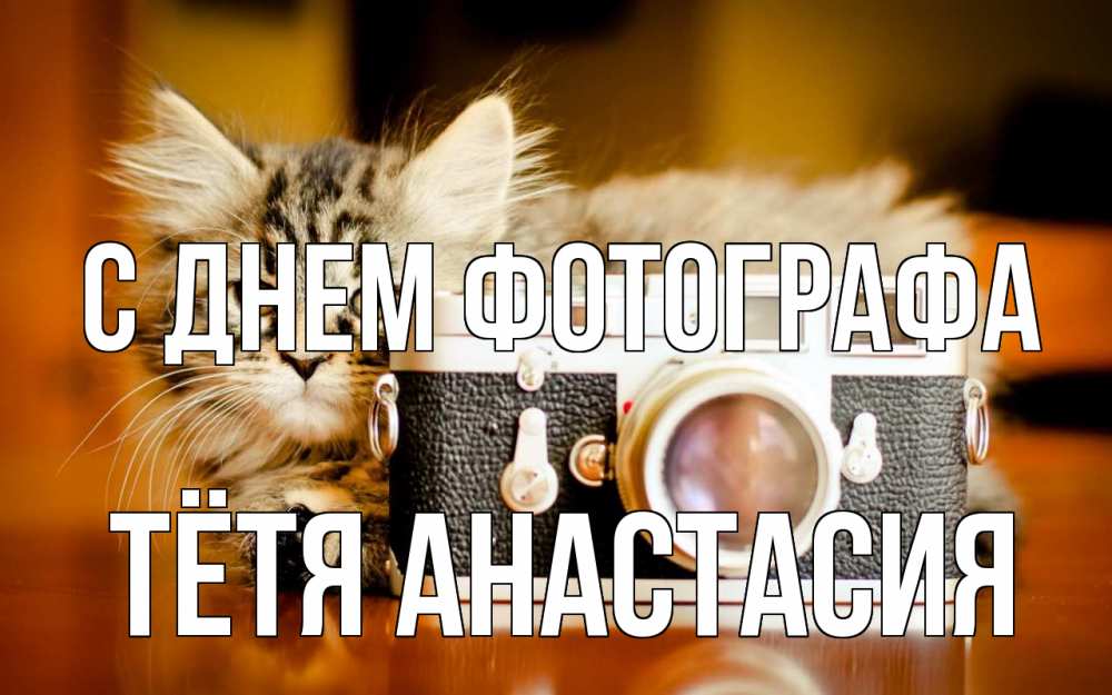 Открытка на каждый день с именем, Тётя-Анастасия С днем фотографа с днем фотографа Прикольная открытка с пожеланием онлайн скачать бесплатно 