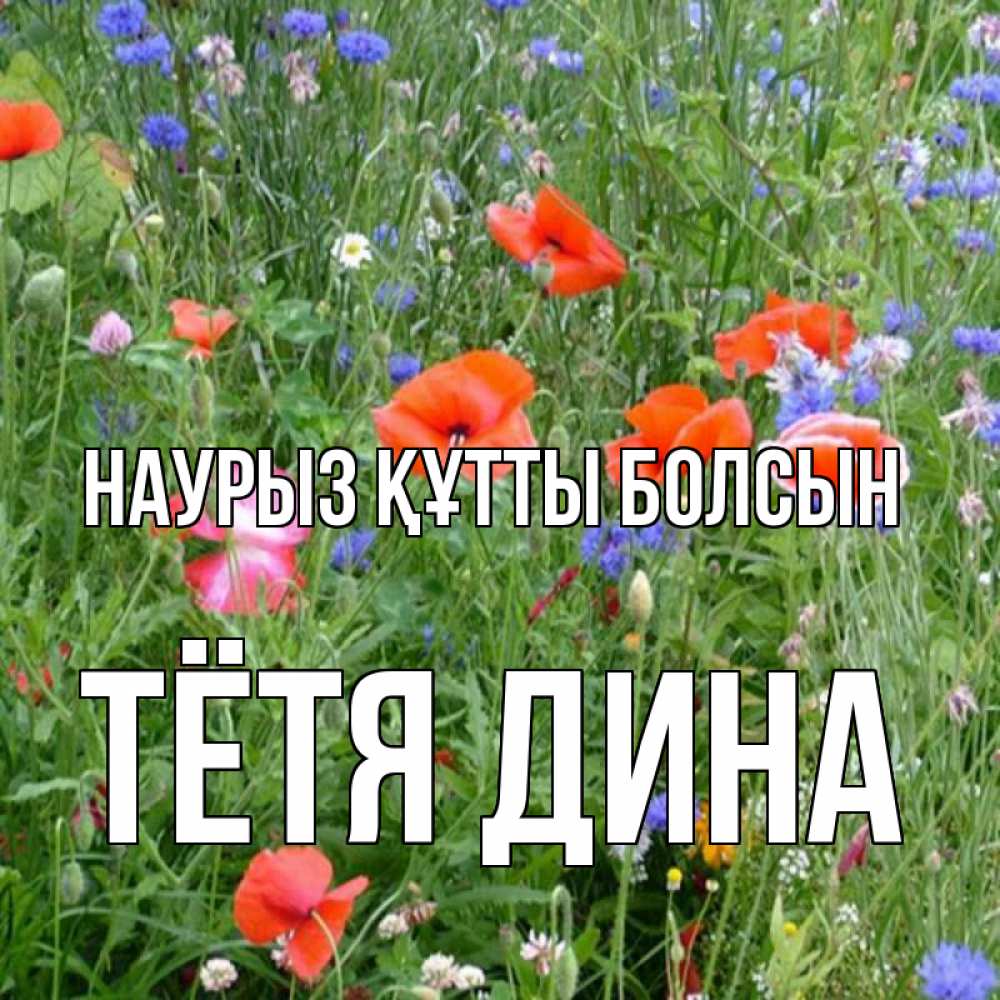Открытка на каждый день с именем, Тётя-Дина Наурыз құтты болсын наурыз  4 Прикольная открытка с пожеланием онлайн скачать бесплатно 