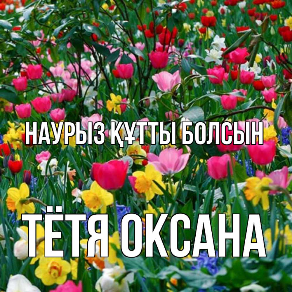 Открытка на каждый день с именем, Тётя-Оксана Наурыз құтты болсын с наурызом поздравления для женщины Прикольная открытка с пожеланием онлайн скачать бесплатно 