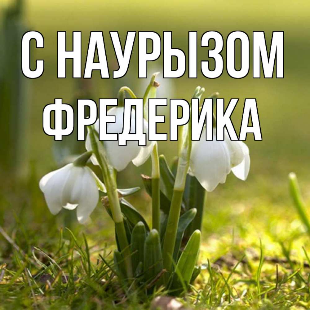 Открытка на каждый день с именем, Фредерика С наурызом ранние цветы 2 Прикольная открытка с пожеланием онлайн скачать бесплатно 