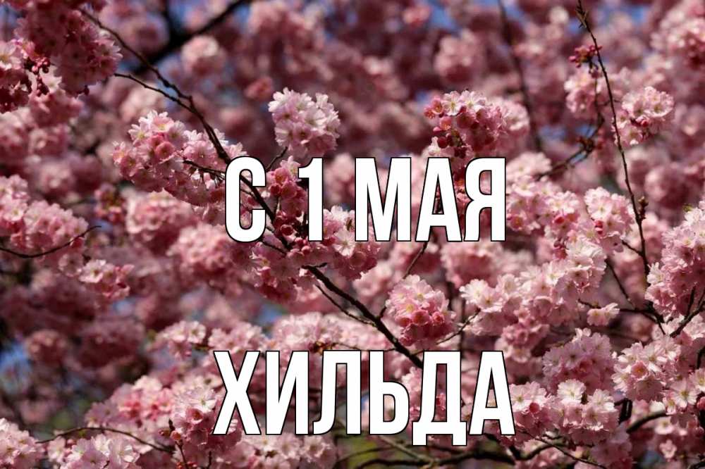Открытка на каждый день с именем, Хильда С 1 мая С 1 мая Прикольная открытка с пожеланием онлайн скачать бесплатно 