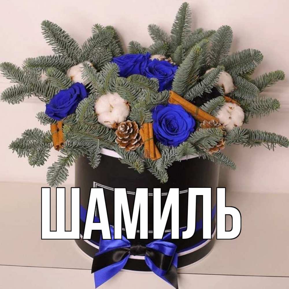 Открытка на каждый день с именем, Шамиль Главная короче кто то загрузил эти шишки Прикольная открытка с пожеланием онлайн скачать бесплатно 