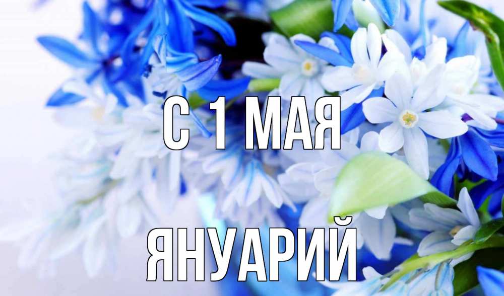 Открытка на каждый день с именем, Януарий С 1 мая С 1 мая Прикольная открытка с пожеланием онлайн скачать бесплатно 