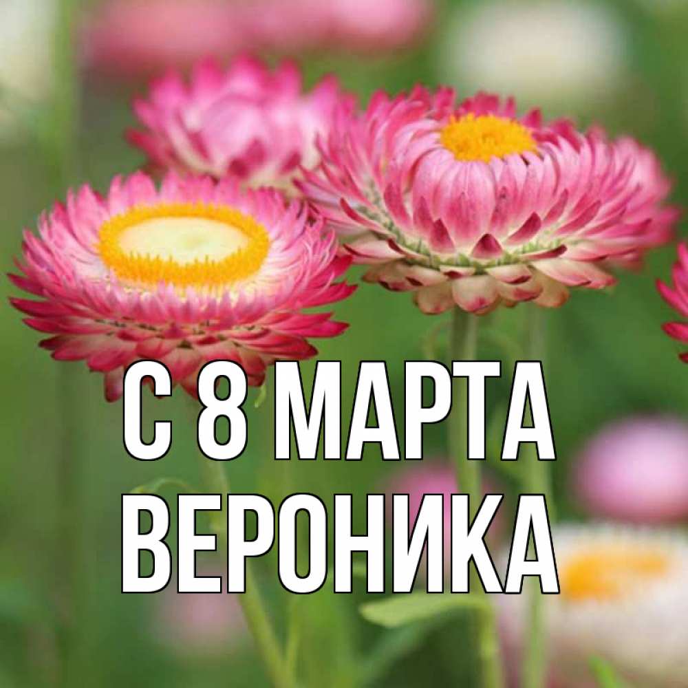 Открытка на каждый день с именем, вероника С 8 марта подарок на международный женский день Прикольная открытка с пожеланием онлайн скачать бесплатно 