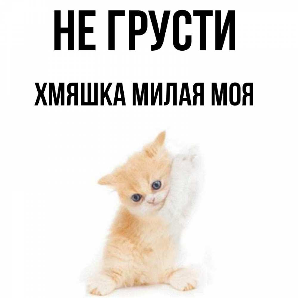 Ты такой милашка 9