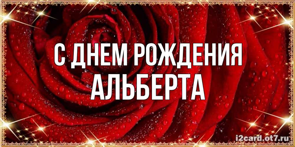 Открытка на каждый день с именем, Альберта С днем рождения роса на розе блестящая в лучах солнца Прикольная открытка с пожеланием онлайн скачать бесплатно 