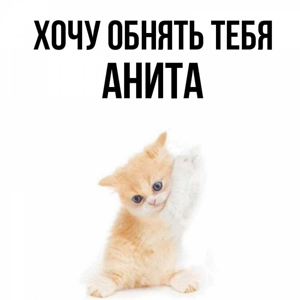 Открытка на каждый день с именем, Анита Хочу обнять тебя я хочу очень скорее обнимаешек Прикольная открытка с пожеланием онлайн скачать бесплатно 