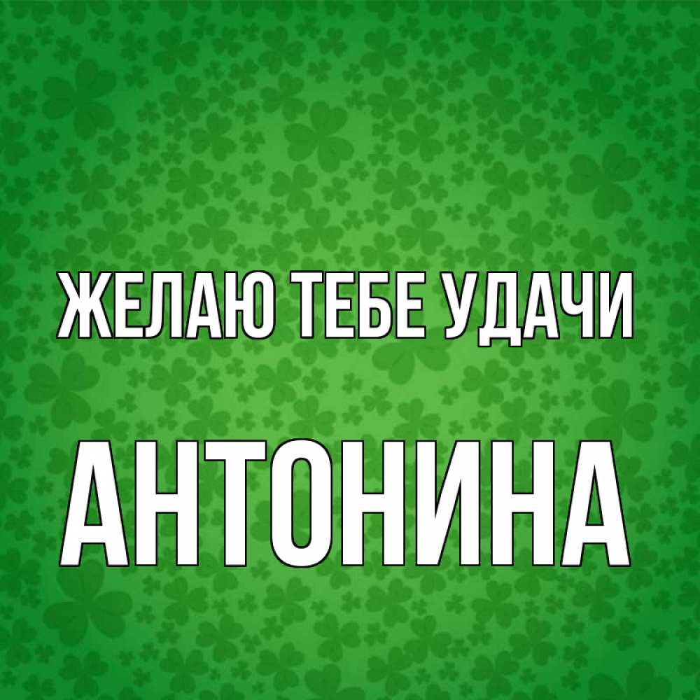 Открытка на каждый день с именем, Антонина Желаю тебе удачи много листочков на удачу Прикольная открытка с пожеланием онлайн скачать бесплатно 