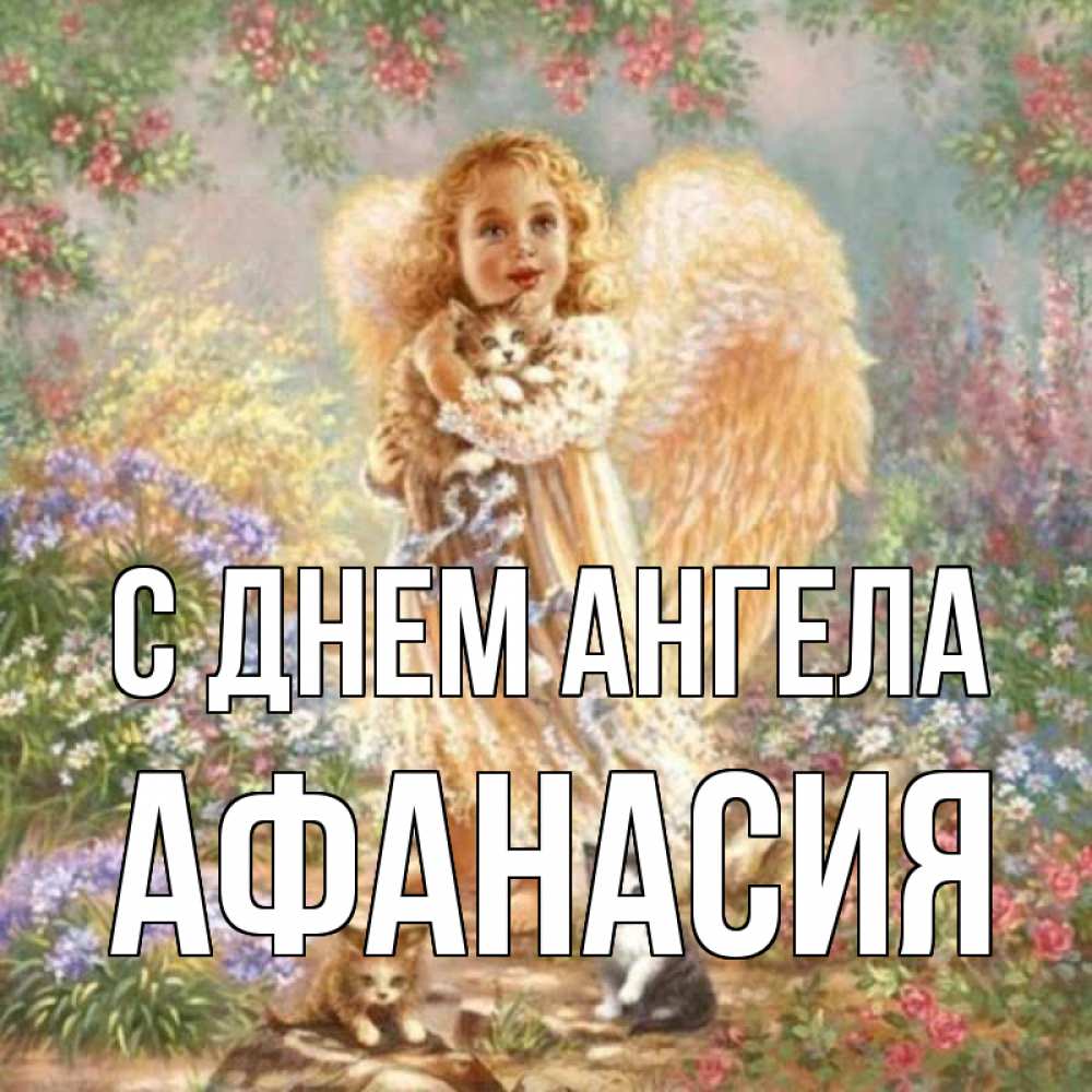 Открытка на каждый день с именем, Афанасия С днем ангела держит котенка Прикольная открытка с пожеланием онлайн скачать бесплатно 