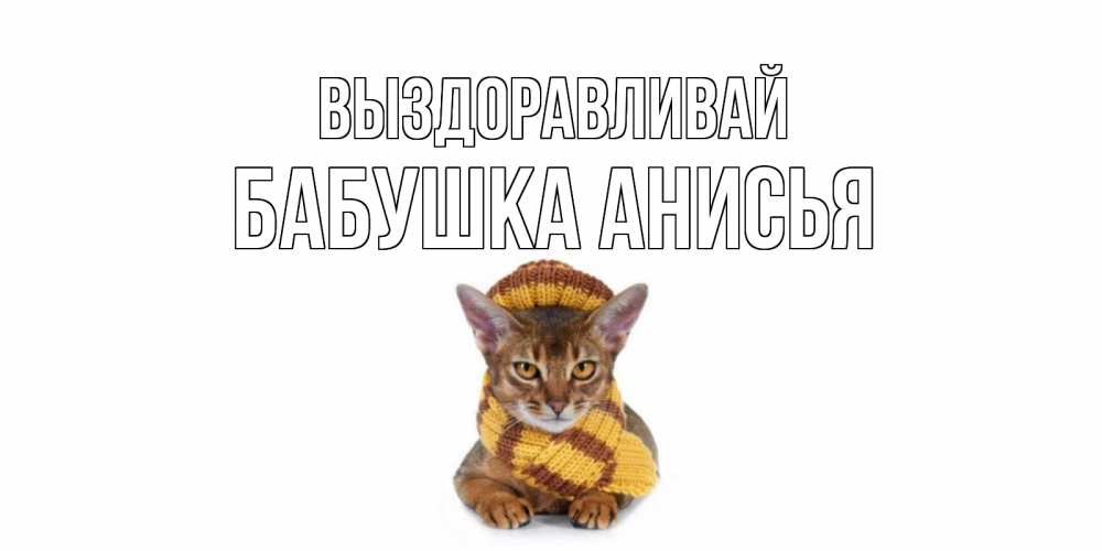 Открытка на каждый день с именем, Бабушка-Анисья Выздоравливай родные не болейте Прикольная открытка с пожеланием онлайн скачать бесплатно 