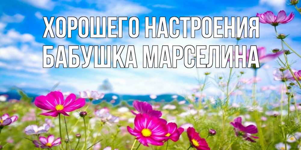 Открытка на каждый день с именем, Бабушка-Марселина Хорошего настроения поле цветов Прикольная открытка с пожеланием онлайн скачать бесплатно 