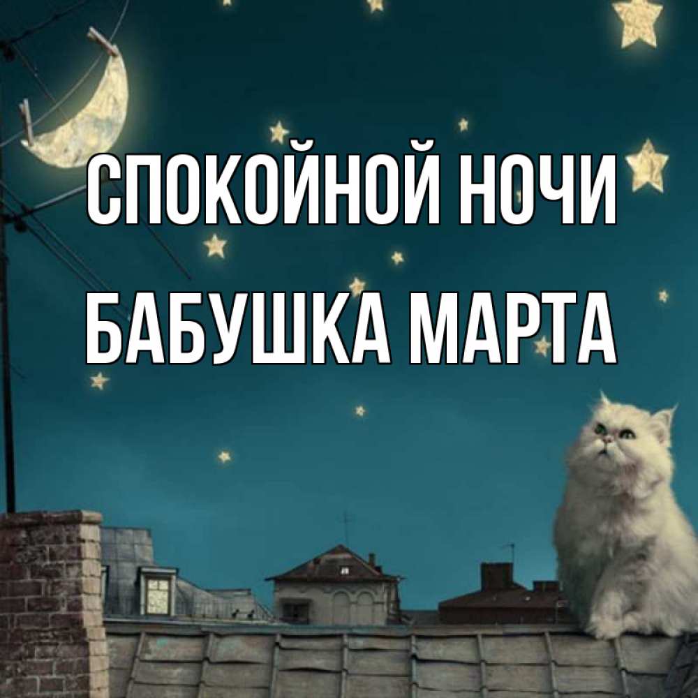 Открытка на каждый день с именем, Бабушка-Марта Спокойной ночи белый кот сидит на крыше Прикольная открытка с пожеланием онлайн скачать бесплатно 