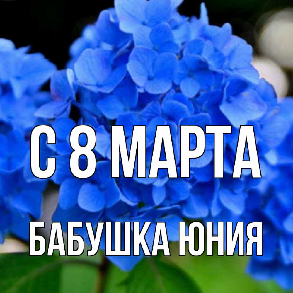 Открытка на каждый день с именем, Бабушка-Юния С 8 МАРТА синие цветы Прикольная открытка с пожеланием онлайн скачать бесплатно 
