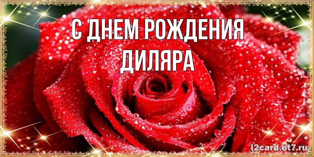 Открытка на каждый день с именем, Диляра С днем рождения роса и роза. открытка с красивой розой Прикольная открытка с пожеланием онлайн скачать бесплатно 