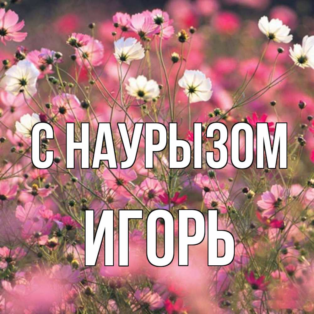 Открытка на каждый день с именем, Игорь С наурызом красиво 1 Прикольная открытка с пожеланием онлайн скачать бесплатно 