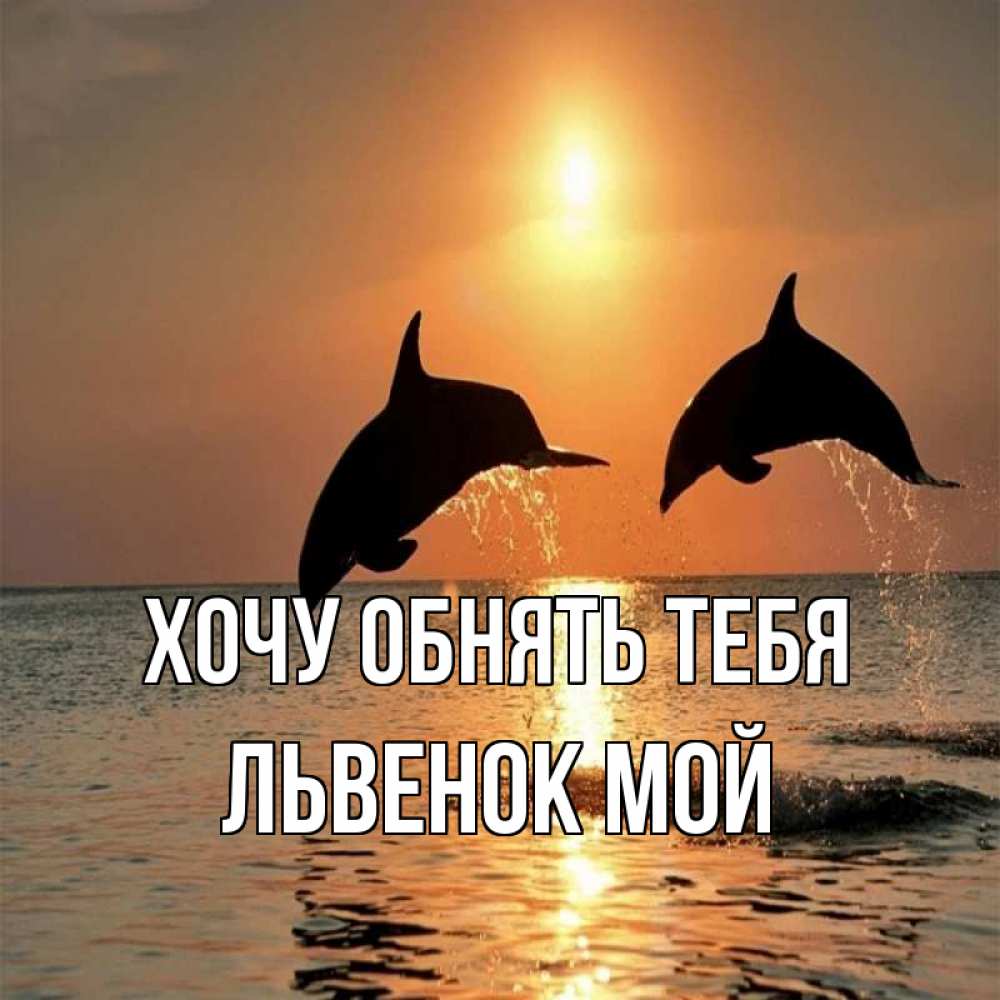 Открытка на каждый день с именем, Львенок-мой Хочу обнять тебя рыбы на закате Прикольная открытка с пожеланием онлайн скачать бесплатно 