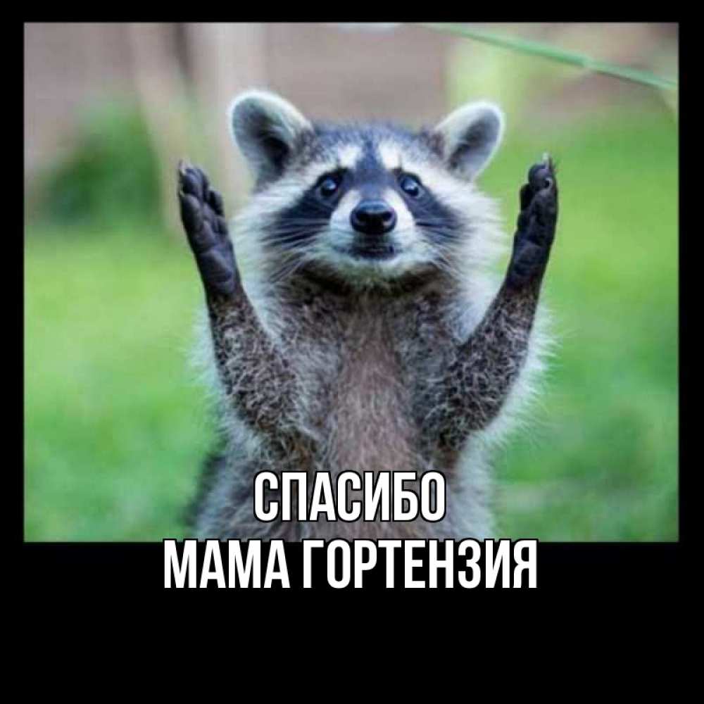Открытка на каждый день с именем, Мама-Гортензия Спасибо милые животные Прикольная открытка с пожеланием онлайн скачать бесплатно 