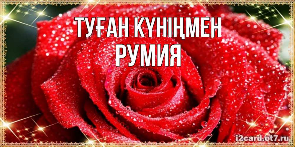 Открытка на каждый день с именем, Румия Туған күніңмен роса и роза. открытка с красивой розой Прикольная открытка с пожеланием онлайн скачать бесплатно 