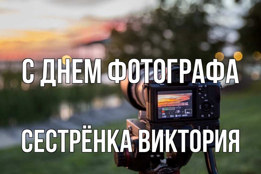 Открытка на каждый день с именем, Сестрёнка-Виктория С днем фотографа с днем фотографа Прикольная открытка с пожеланием онлайн скачать бесплатно 