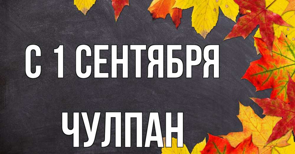 Открытка на каждый день с именем, Чулпан С 1 сентября с днем знаний Прикольная открытка с пожеланием онлайн скачать бесплатно 