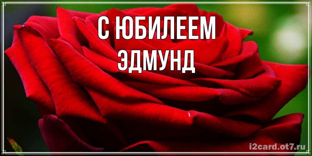 Открытка на каждый день с именем, Эдмунд С юбилеем розочка очень красивая Прикольная открытка с пожеланием онлайн скачать бесплатно 
