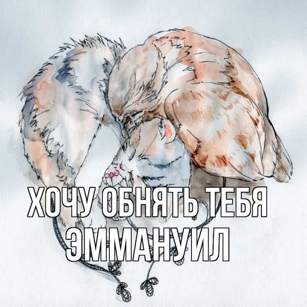 Открытка на каждый день с именем, Эммануил Хочу обнять тебя можно быть вместе даже когда очень разные Прикольная открытка с пожеланием онлайн скачать бесплатно 