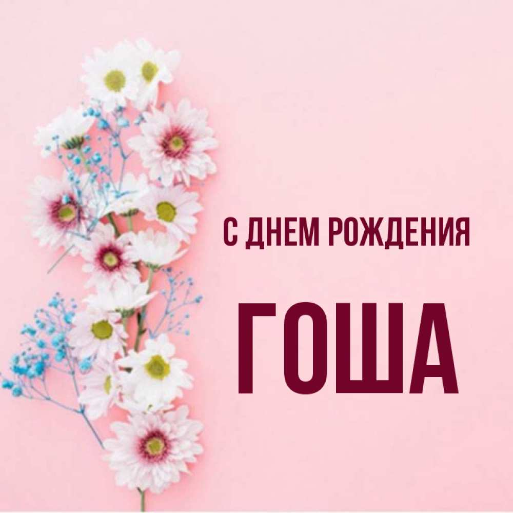 Гоша с днем рождения картинки для детей