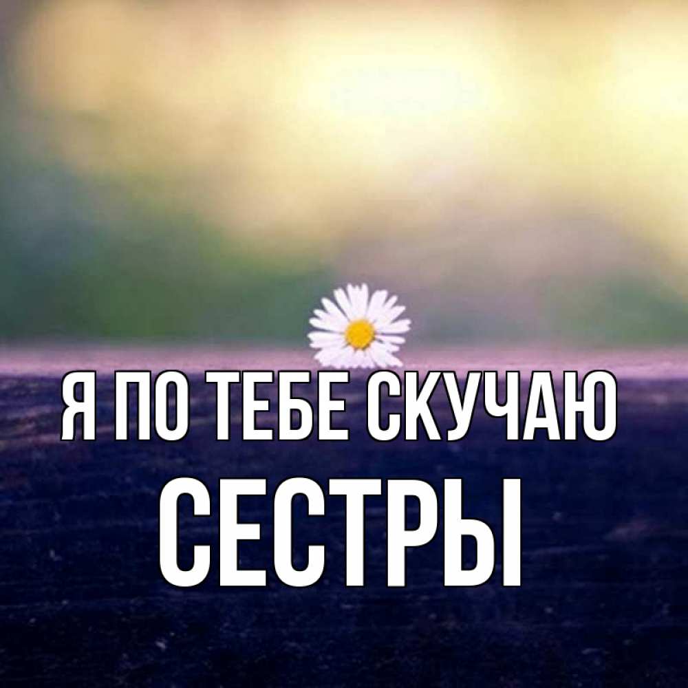 Скучаю по сестренке картинки