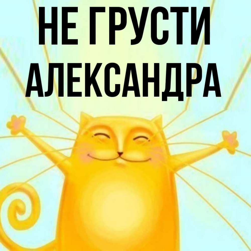 Открытка на каждый день с именем, Александра Не грусти обнимашки усатые Прикольная открытка с пожеланием онлайн скачать бесплатно 