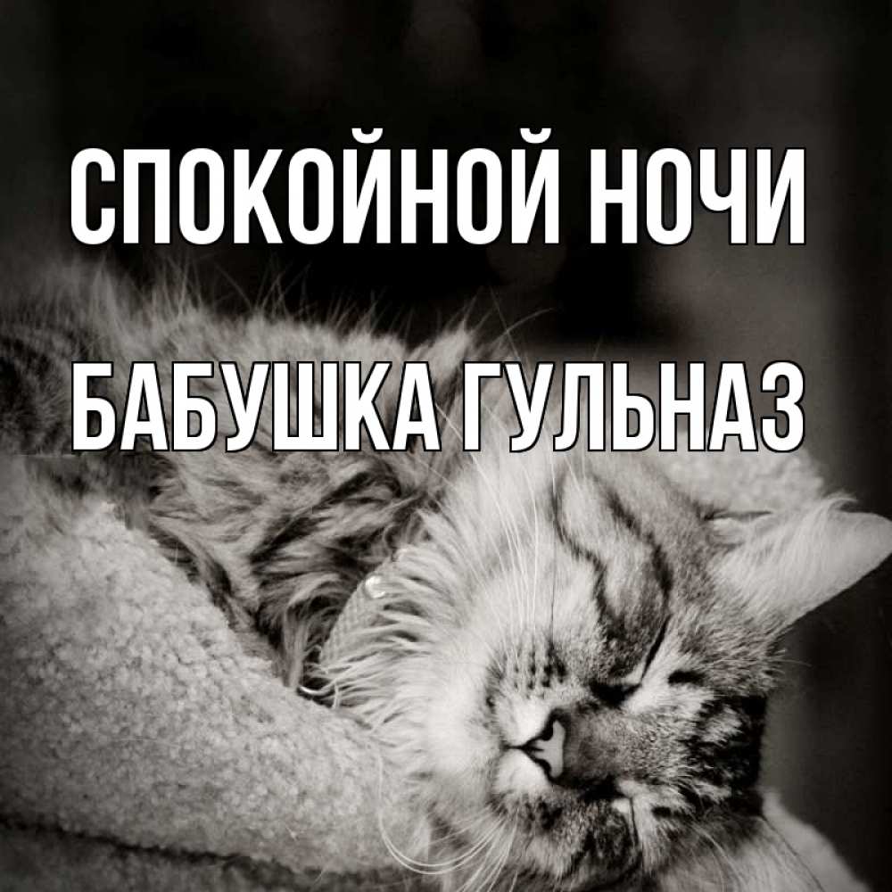 Открытка на каждый день с именем, Бабушка-Гульназ Спокойной ночи котярик пушистый Прикольная открытка с пожеланием онлайн скачать бесплатно 