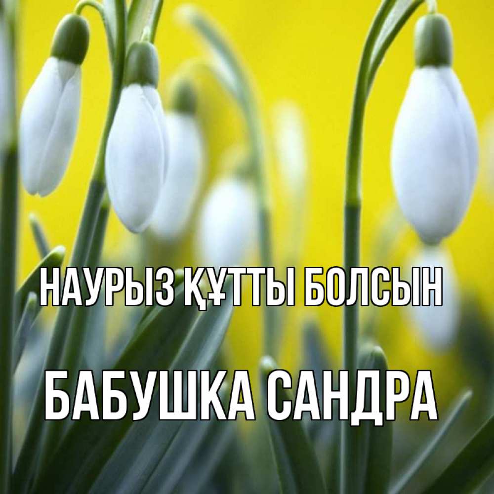 Открытка на каждый день с именем, Бабушка-Сандра Наурыз құтты болсын весенние цветы Прикольная открытка с пожеланием онлайн скачать бесплатно 