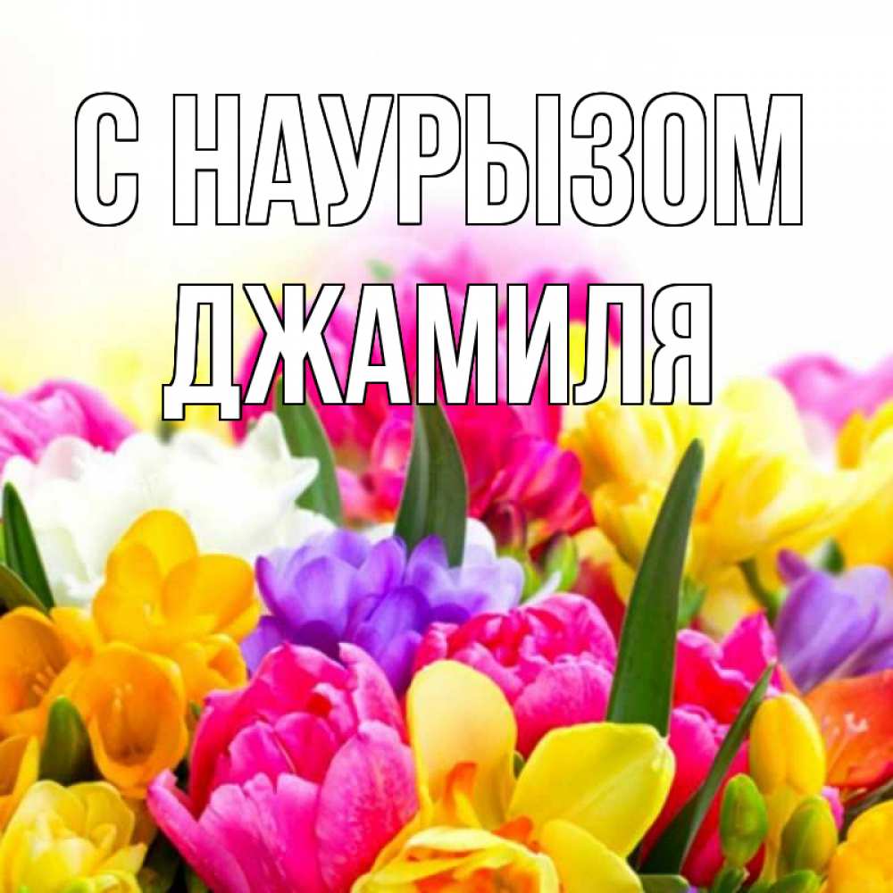 Открытка на каждый день с именем, Джамиля С наурызом тюльпаны Прикольная открытка с пожеланием онлайн скачать бесплатно 