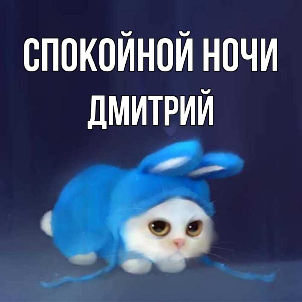 Открытка на каждый день с именем, Дмитрий Спокойной ночи кот в голубом костюме кролика с ушками Прикольная открытка с пожеланием онлайн скачать бесплатно 