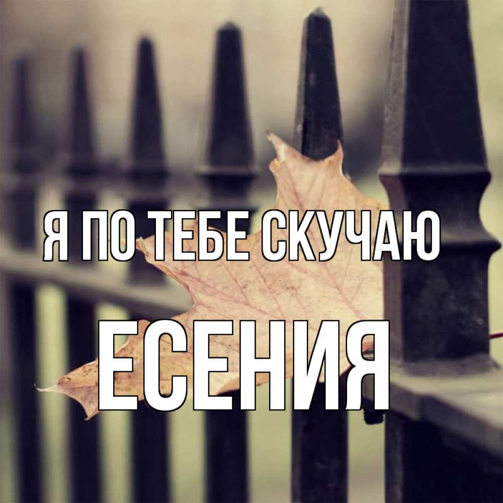 Открытка на каждый день с именем, Есения Я по тебе скучаю очень скучно Прикольная открытка с пожеланием онлайн скачать бесплатно 