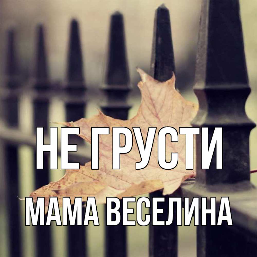 Открытка на каждый день с именем, Мама-Веселина Не грусти лист клена Прикольная открытка с пожеланием онлайн скачать бесплатно 
