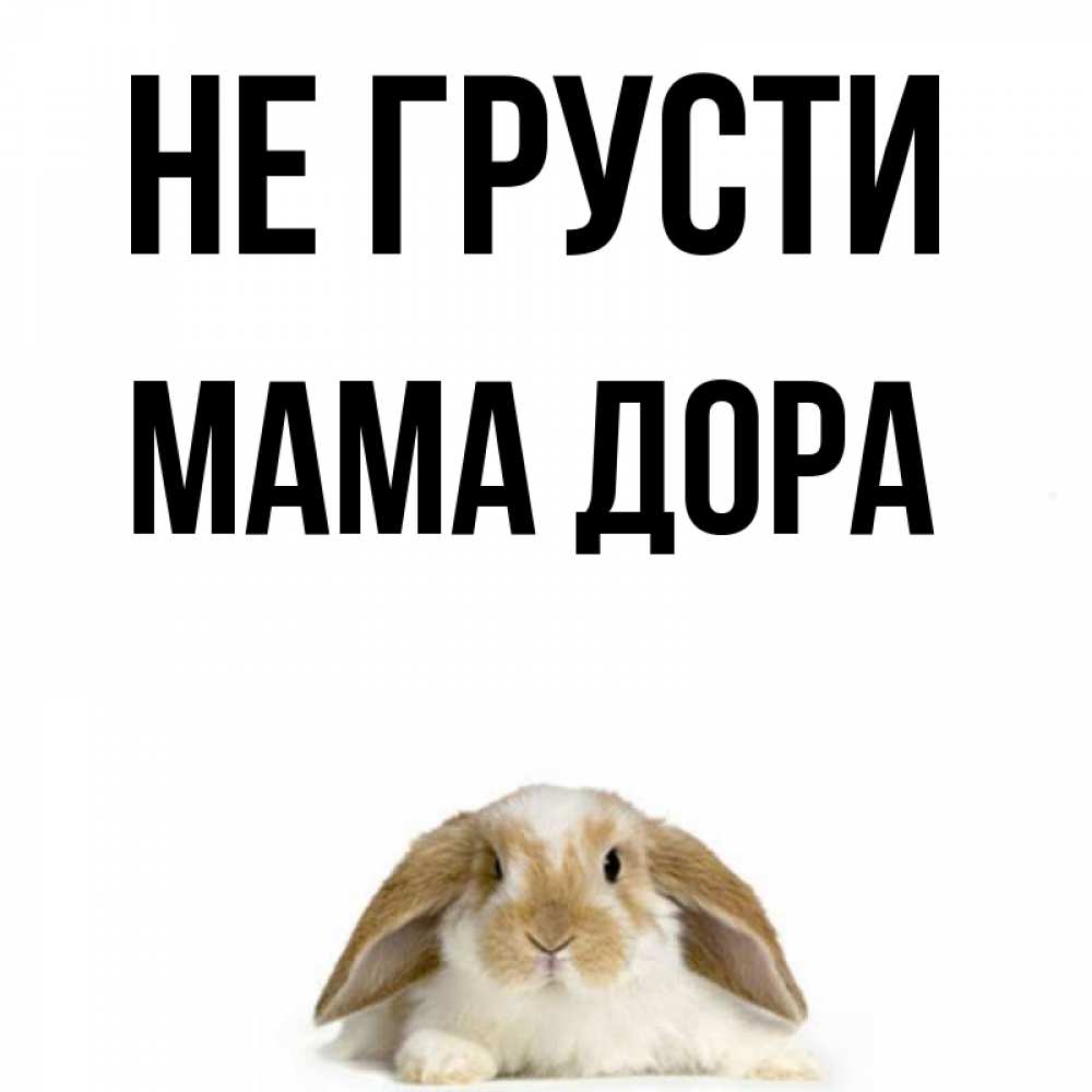 Открытка на каждый день с именем, Мама-Дора Не грусти коричнево белый заяц с большими ушками Прикольная открытка с пожеланием онлайн скачать бесплатно 