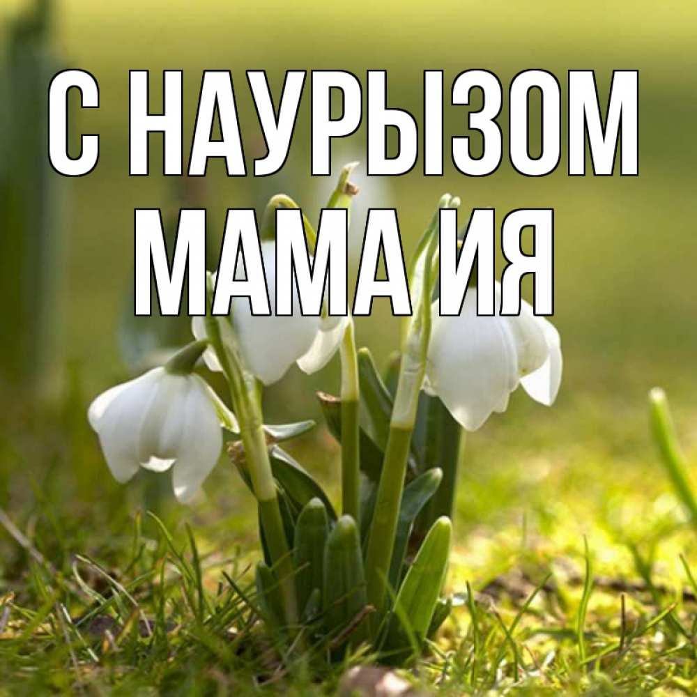 Открытка на каждый день с именем, Мама-Ия С наурызом ранние цветы 2 Прикольная открытка с пожеланием онлайн скачать бесплатно 