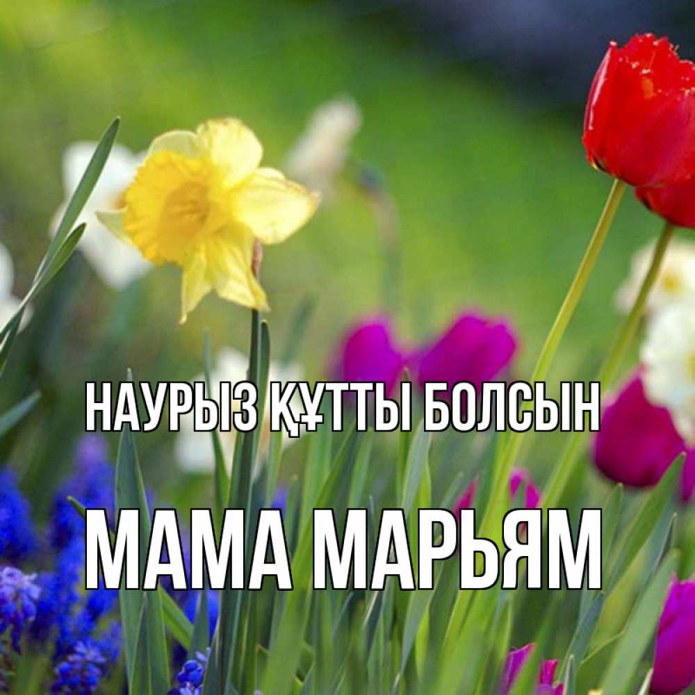 Открытка на каждый день с именем, Мама-Марьям Наурыз құтты болсын наурыз  3 открытки Прикольная открытка с пожеланием онлайн скачать бесплатно 