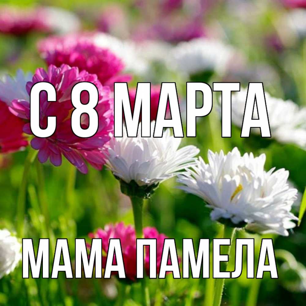 Открытка на каждый день с именем, Мама-Памела С 8 марта международный женский день 1 Прикольная открытка с пожеланием онлайн скачать бесплатно 