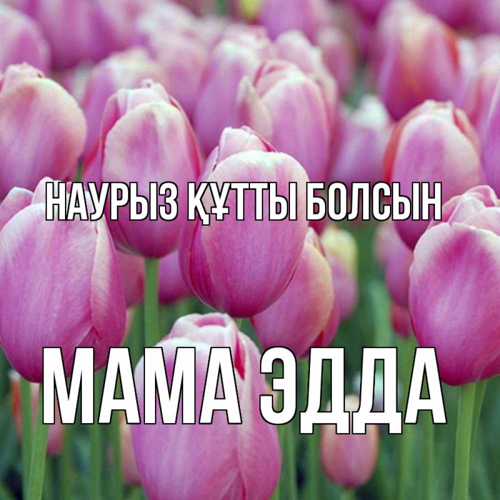 Открытка на каждый день с именем, Мама-Эдда Наурыз құтты болсын на наурыз  день 3 Прикольная открытка с пожеланием онлайн скачать бесплатно 
