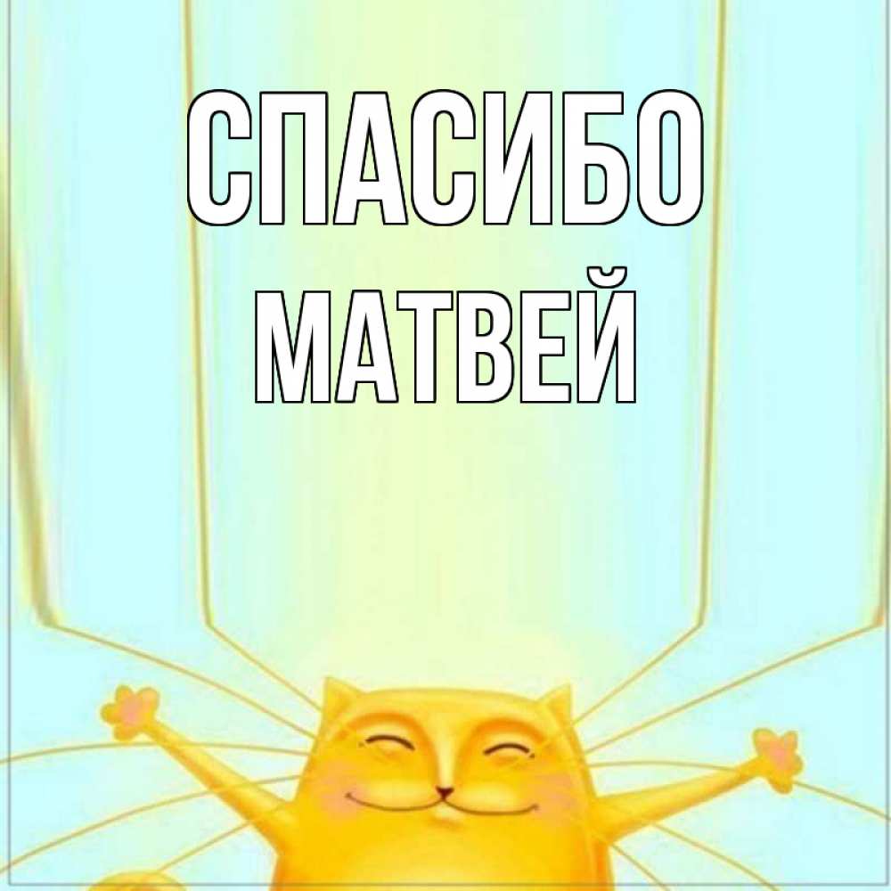 Открытка на каждый день с именем, Матвей Спасибо кот с усами благодарит Прикольная открытка с пожеланием онлайн скачать бесплатно 