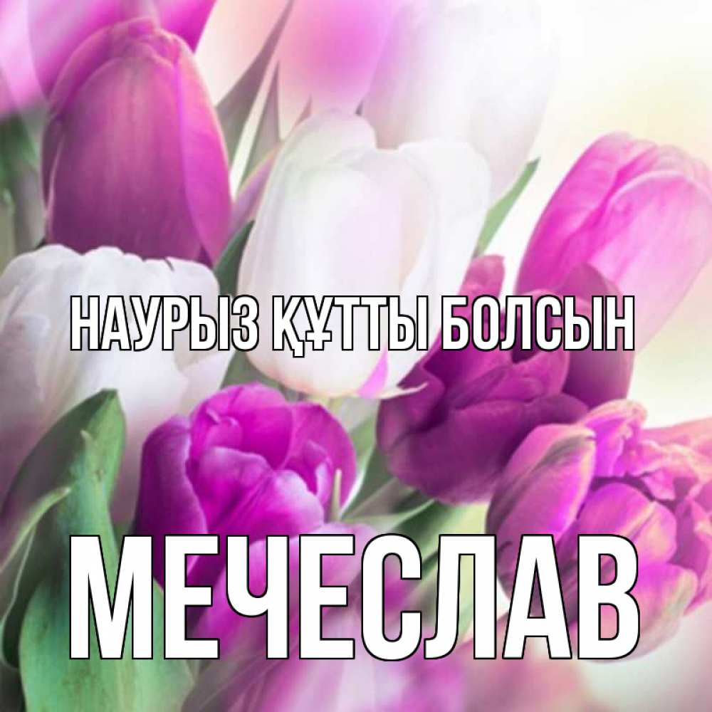 Открытка на каждый день с именем, Мечеслав Наурыз құтты болсын весна 1 Прикольная открытка с пожеланием онлайн скачать бесплатно 
