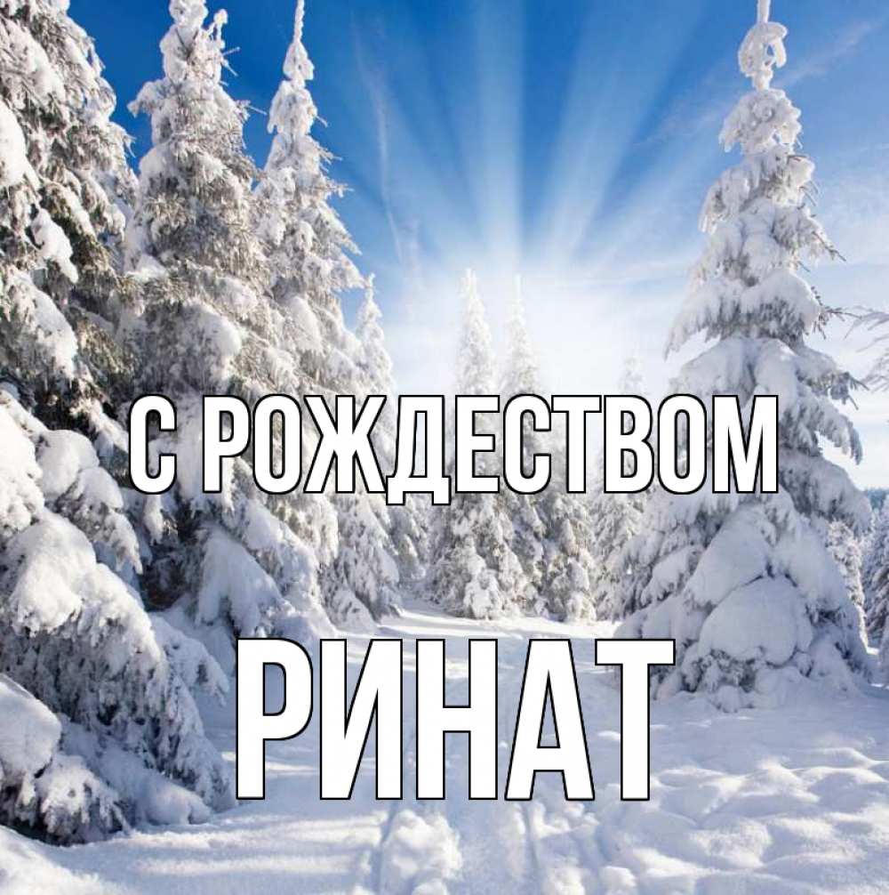 Открытка на каждый день с именем, Ринат С рождеством зима, лес Прикольная открытка с пожеланием онлайн скачать бесплатно 
