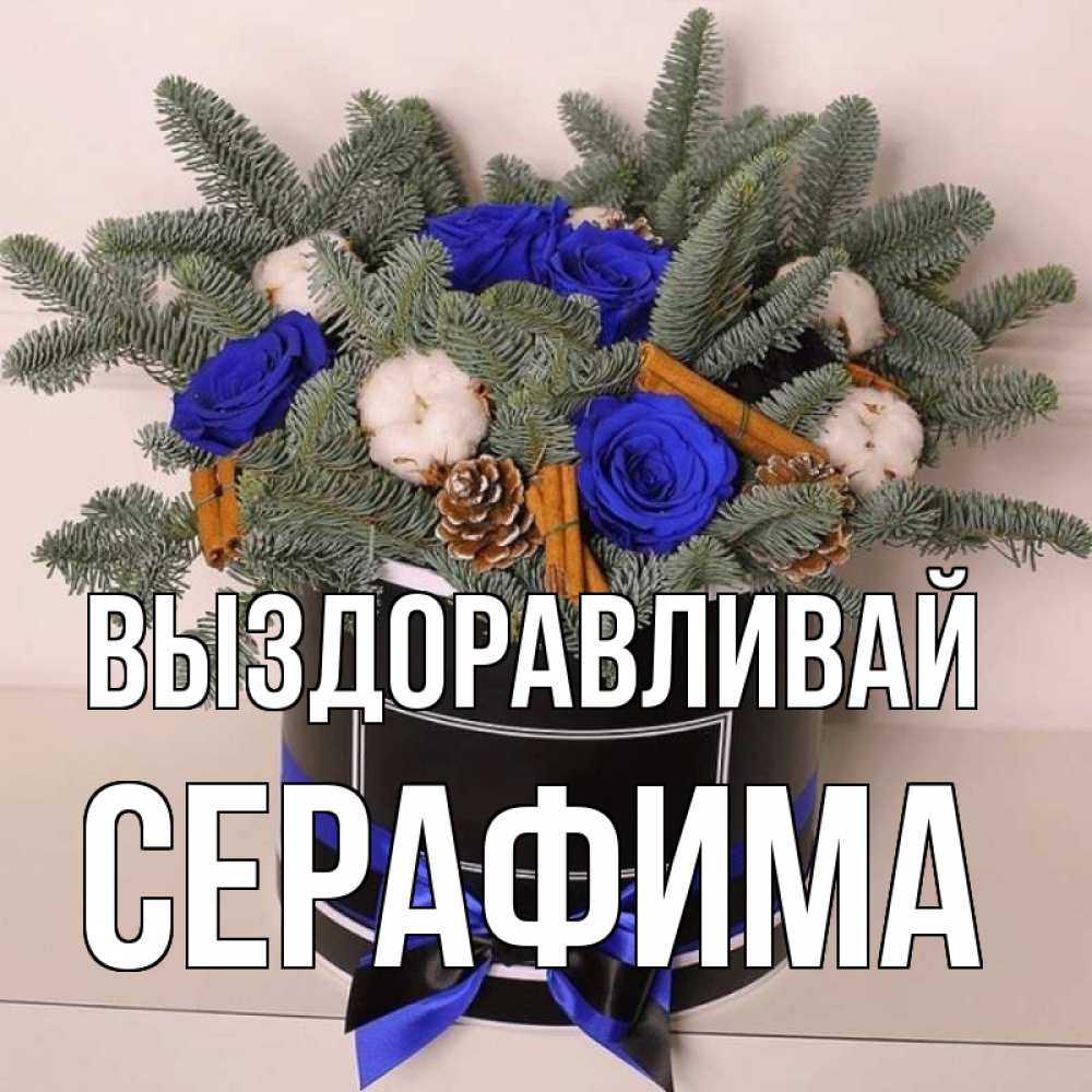 Открытка на каждый день с именем, Серафима Выздоравливай короче кто то загрузил эти шишки Прикольная открытка с пожеланием онлайн скачать бесплатно 